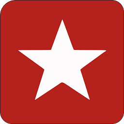 Bourgini logo