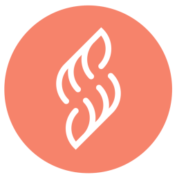 Salontopper logo